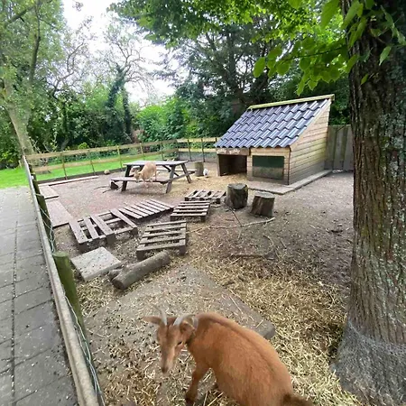 La Luna - Denise Apartmán